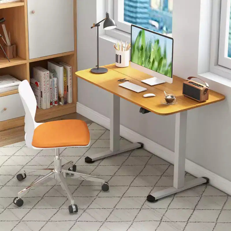 Electric Standing Desk Height Adjustable Sit to Stand Computer Workstation Home Office