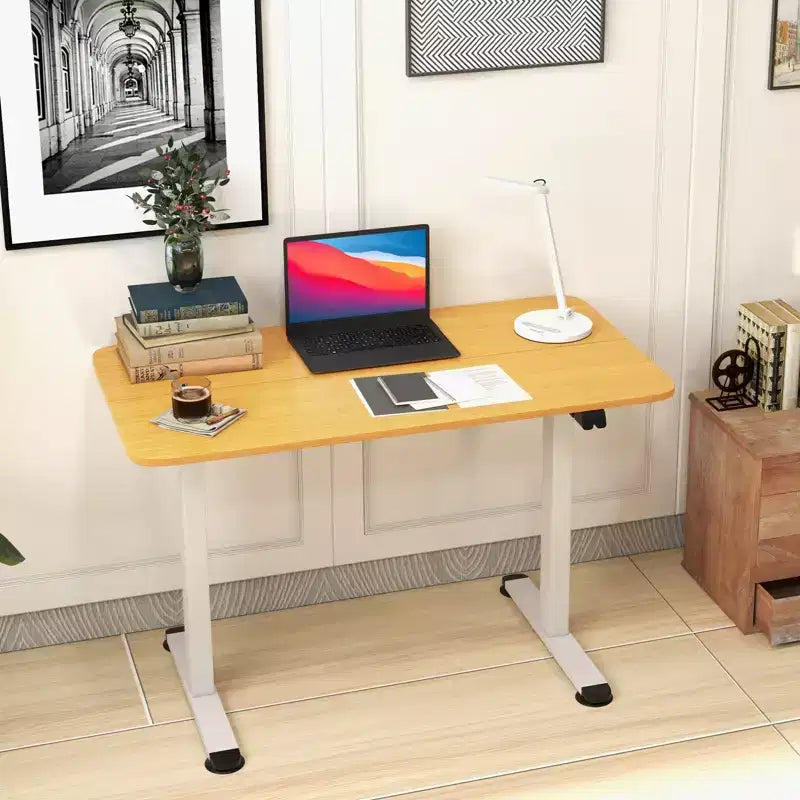 Electric Standing Desk Height Adjustable Sit to Stand Computer Workstation Home Office