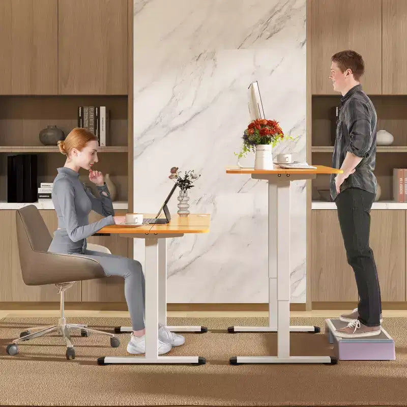 Electric Standing Desk Height Adjustable Sit to Stand Computer Workstation Home Office