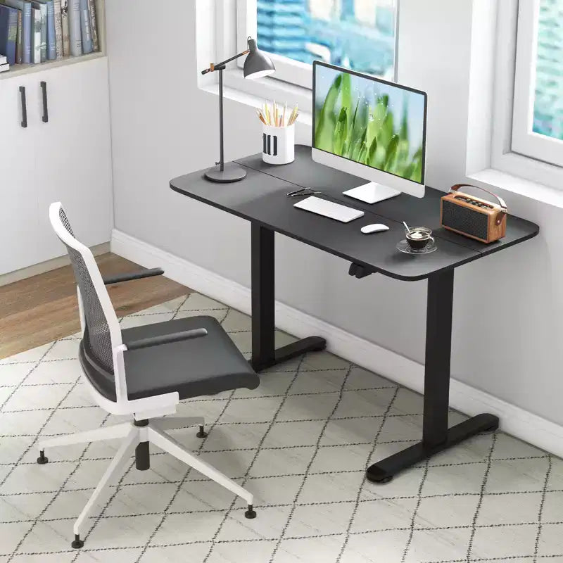 Electric Standing Desk Height Adjustable Sit to Stand Computer Workstation Home Office